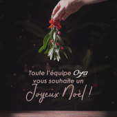 ✨ Toute l'équipe Oya Fleurs vous souhaite de belles fêtes de Noël auprès de ceux qui vous sont chers ! ✨⁣
.⁣
.⁣
.⁣
#joyeuxnoel #noel #christmas #merrychristmas #comercedeproximite #oya #oyafleurs